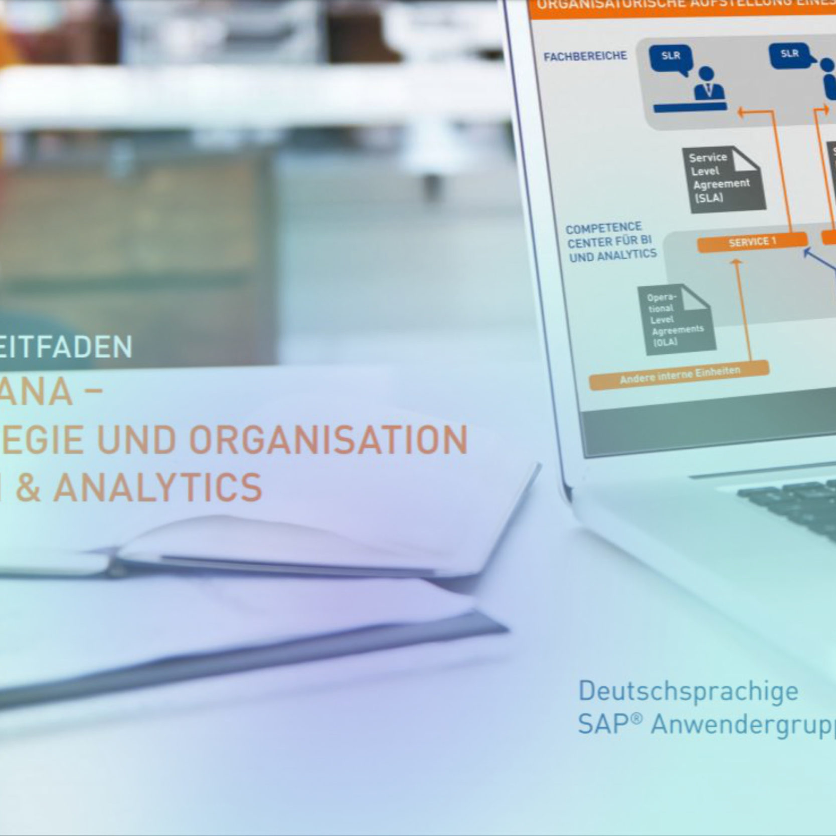 Cover des DSAG Leitfadens für SAP HANA