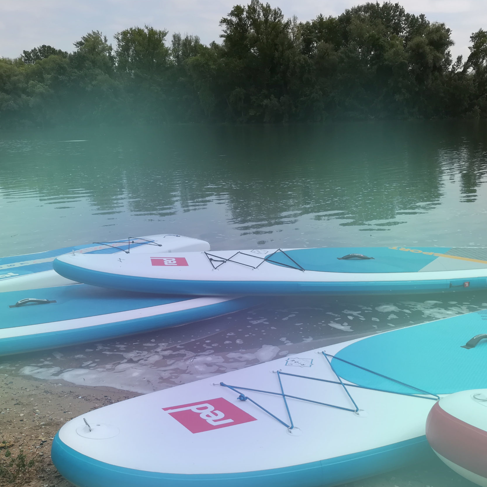 Infocient Teamevent Stand up Paddling Boards am Ufer