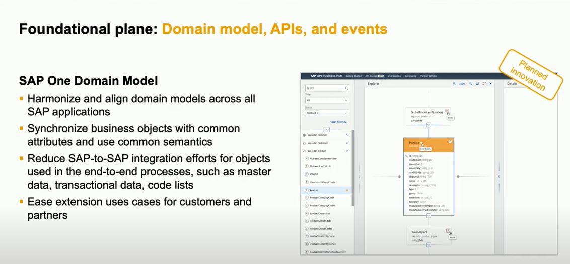 SAP BTP One Domain Model