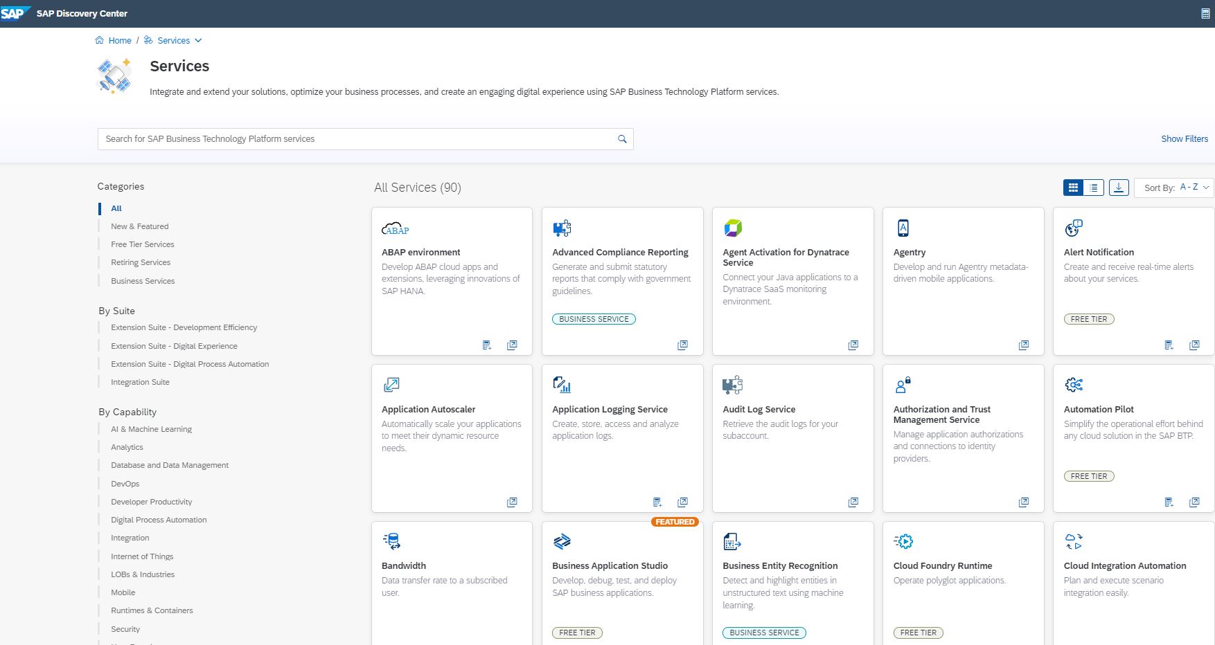 Screenshot der SAP BTP Services