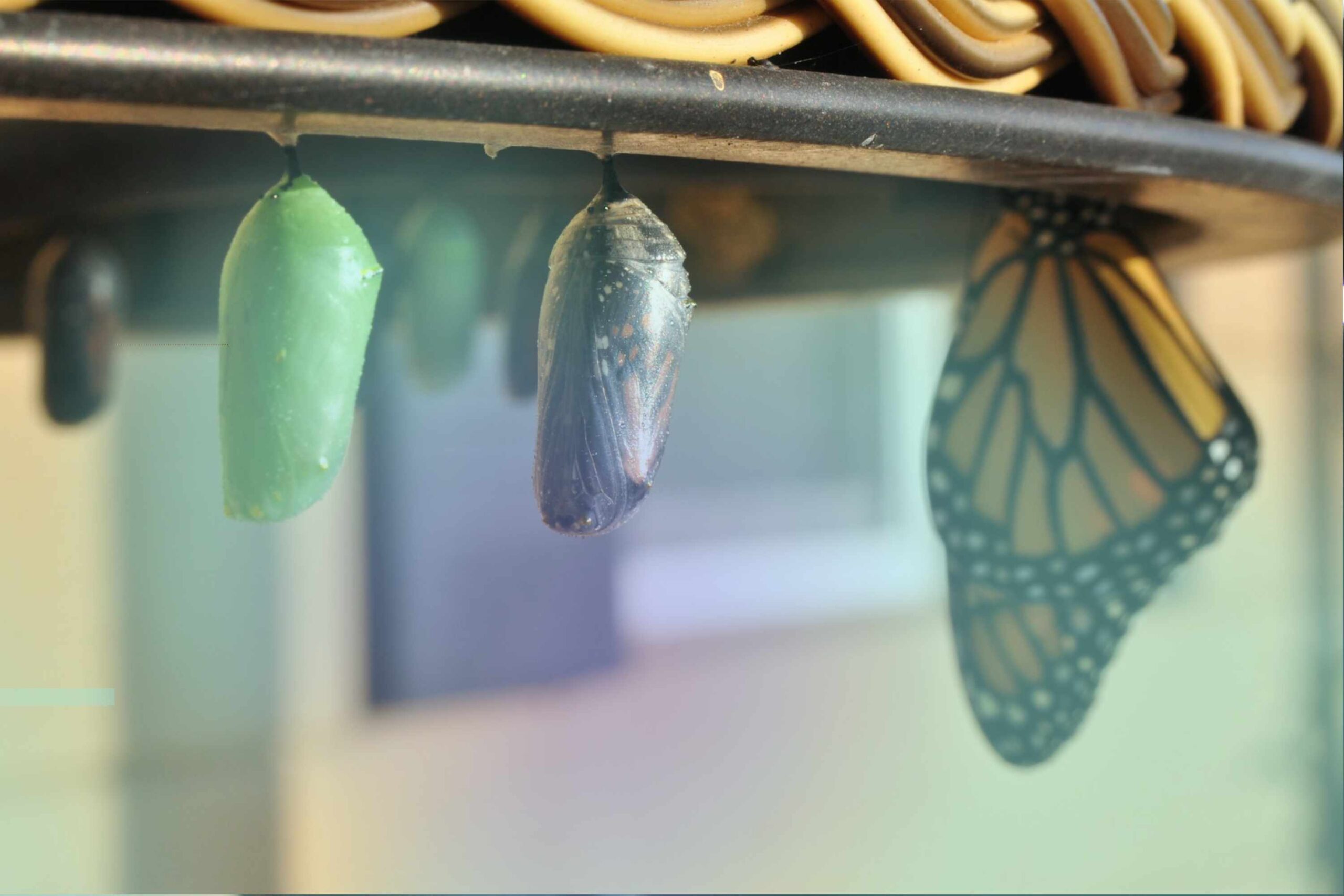 BW4/HANA Conversion Guide