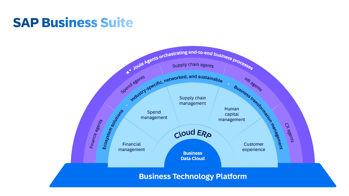 Aufbau der SAP Business Suite