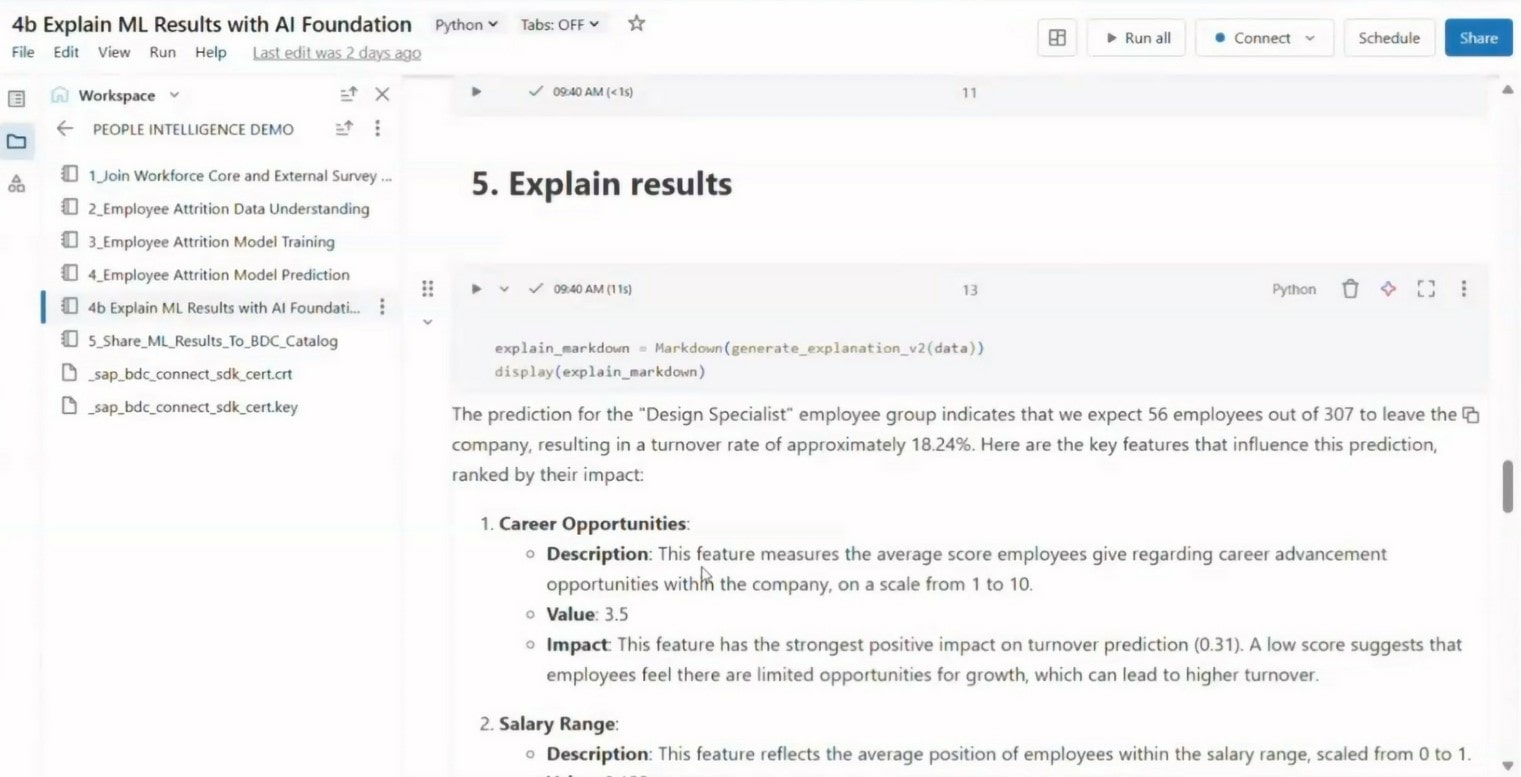 BDC Partner Demo Screenshot zu AI Explanation der Ergebnisse