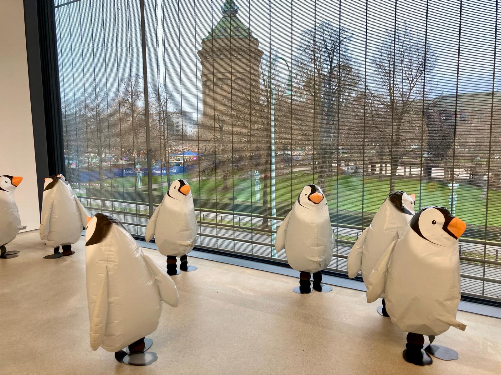 Pinguine in Kunsthalle Mannheim